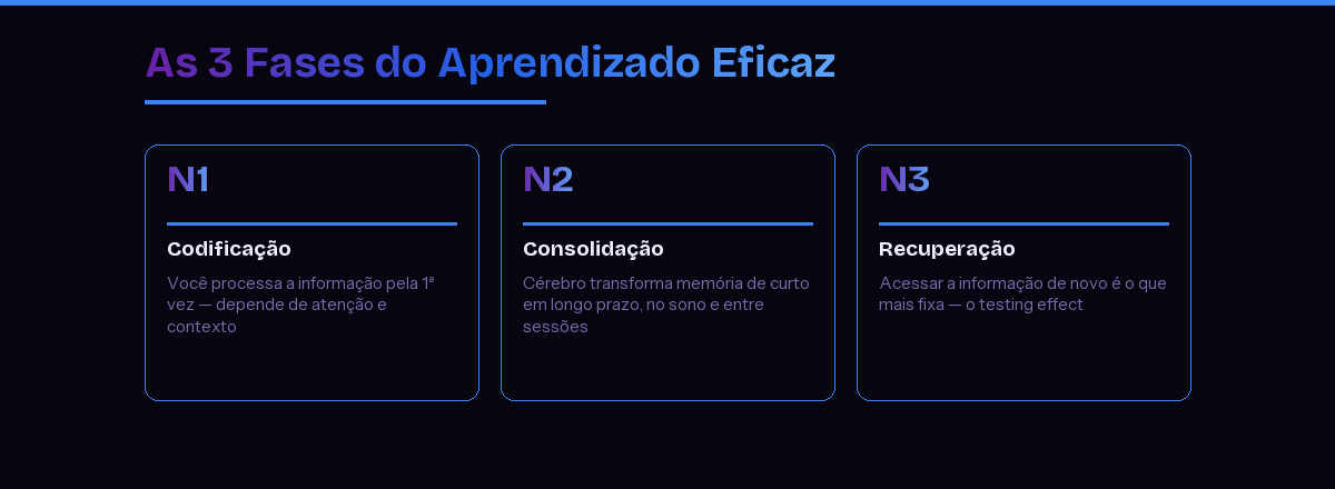 As 3 fases do aprendizado eficaz: codificação, consolidação e recuperação